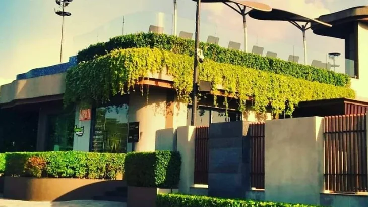 Acrolawns